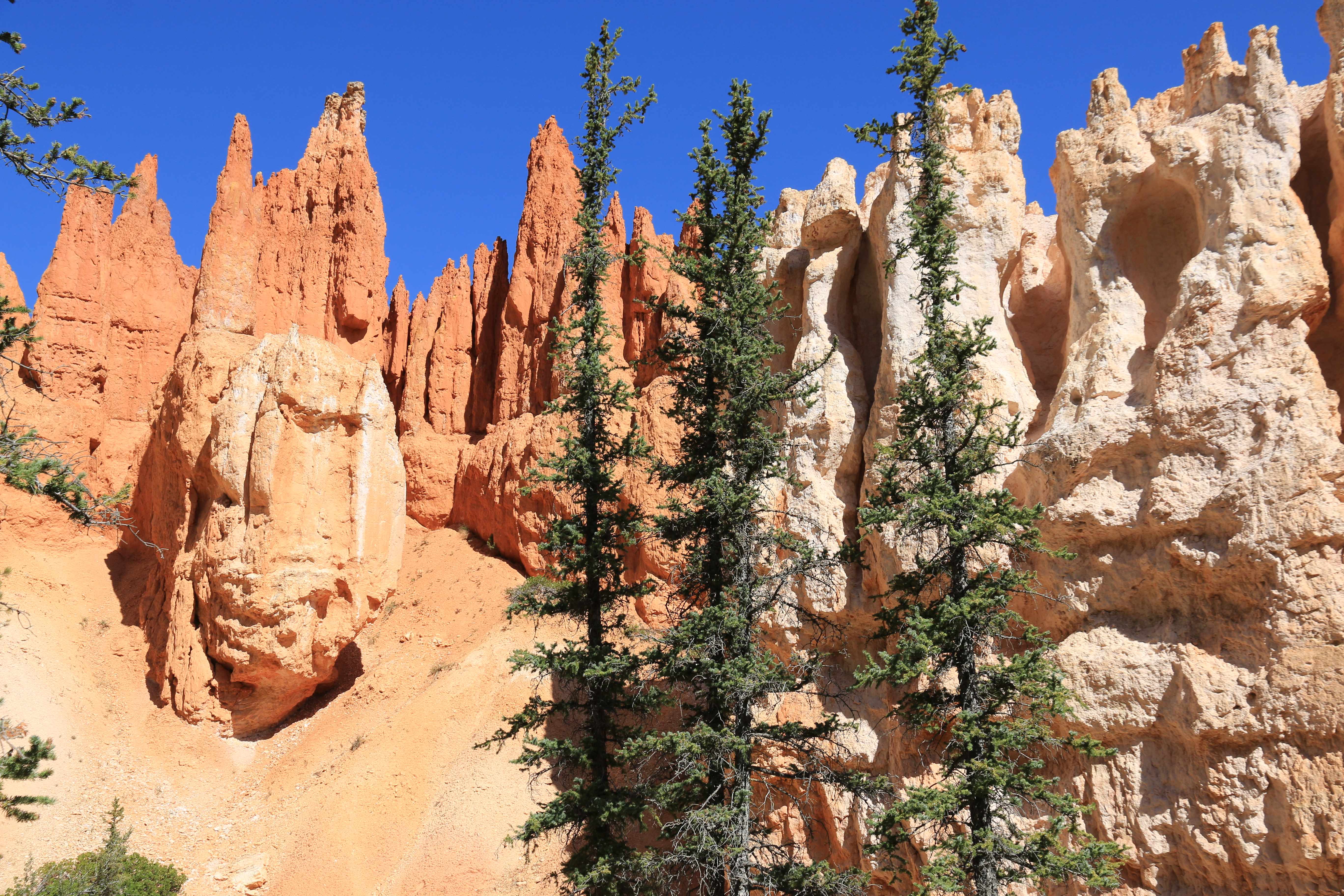 Bryce Canyon NP